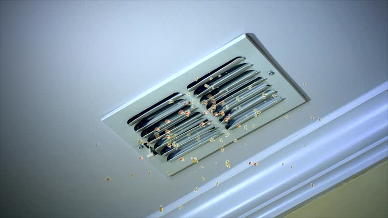 Best Ductwork Cleaning Services  in Columbus, WI
